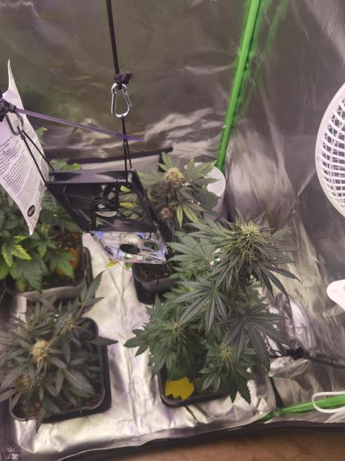 All starts at some Point!!. Week 9