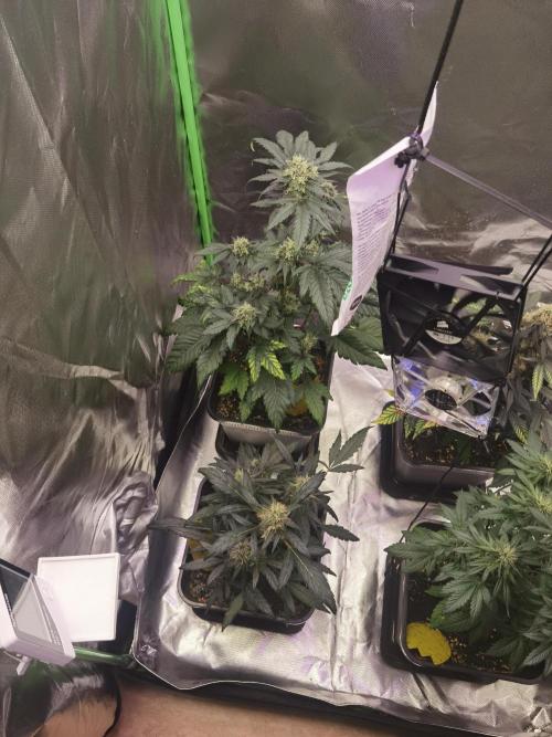 All starts at some Point!!. Week 9