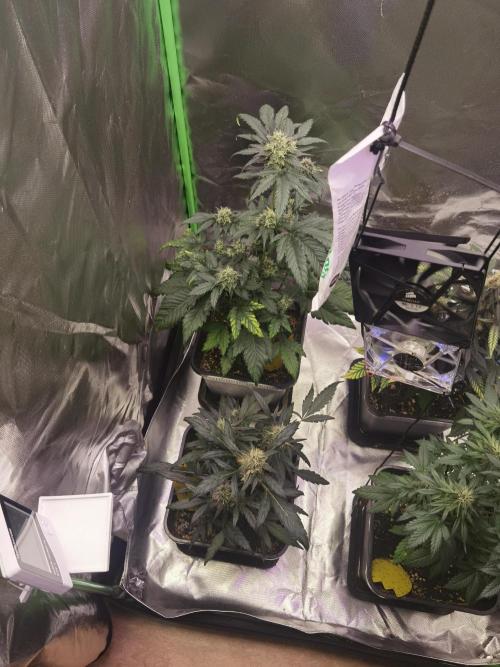 All starts at some Point!!. Week 9