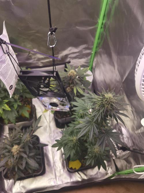 All starts at some Point!!. Week 9