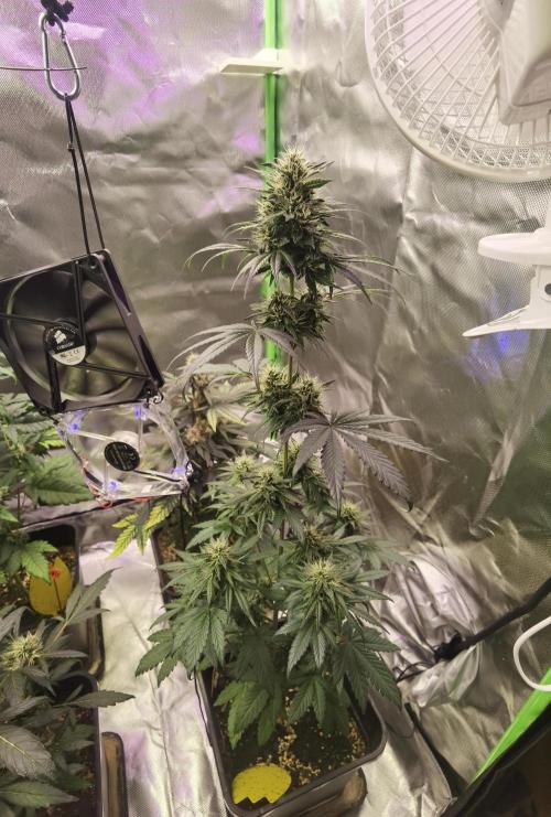 All starts at some Point!!. Week 9