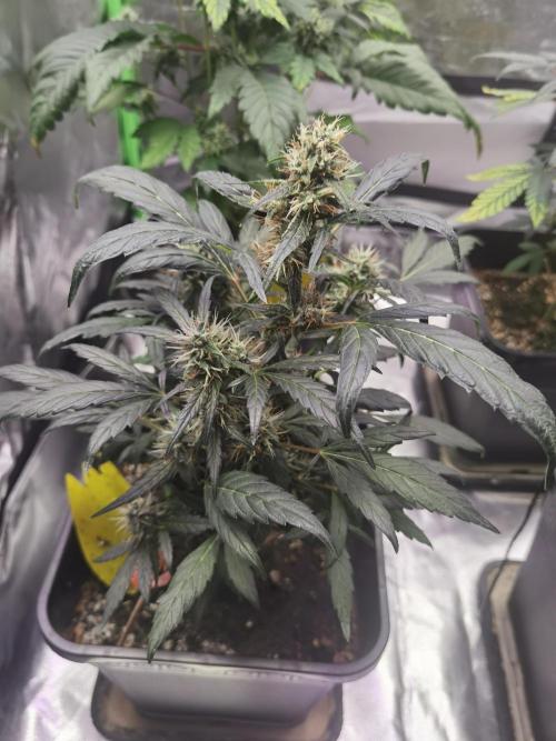 All starts at some Point!!. Week 9