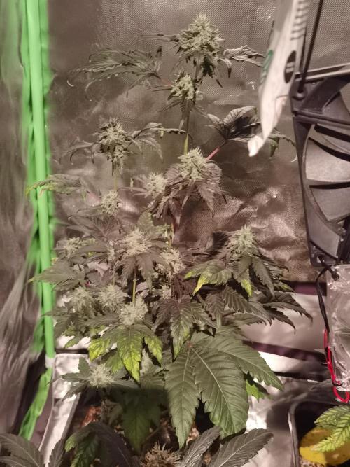 All starts at some Point!!. Week 9