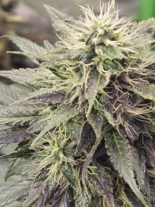 All starts at some Point!!. Week 11