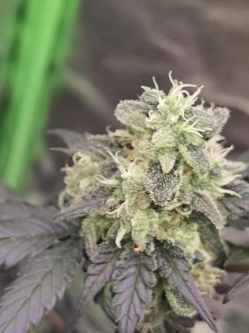 All starts at some Point!!. Week 13