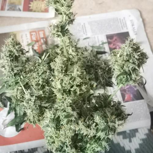 All starts at some Point!!. Week 14