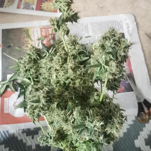 All starts at some Point!!. Week 14