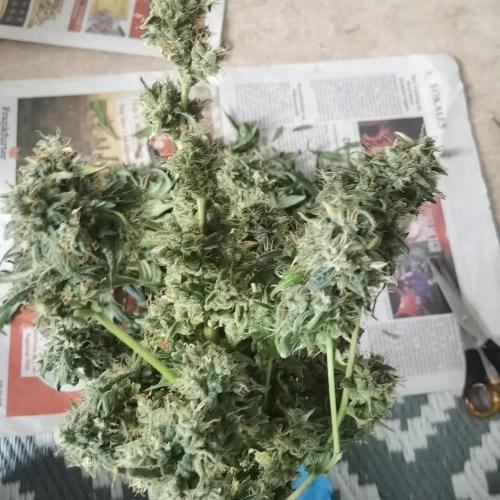 All starts at some Point!!. Week 14