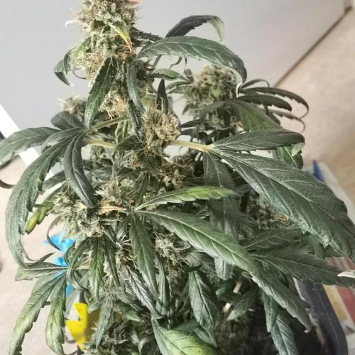 All starts at some Point!!. Week 14