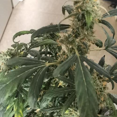 All starts at some Point!!. Week 14