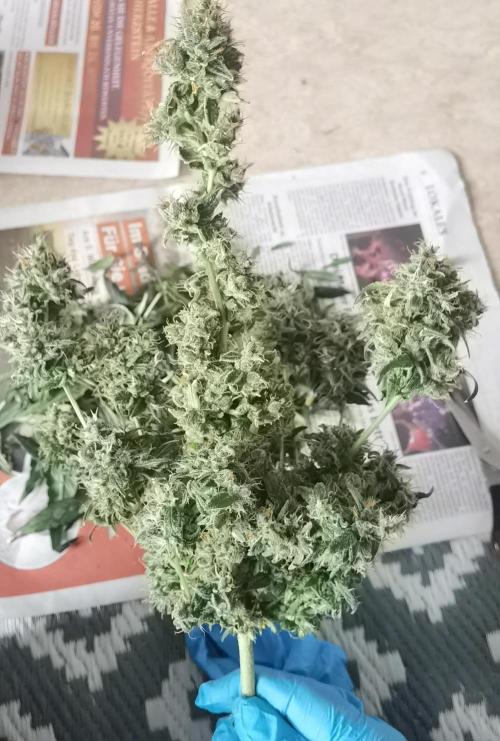 All starts at some Point!!. Week 14