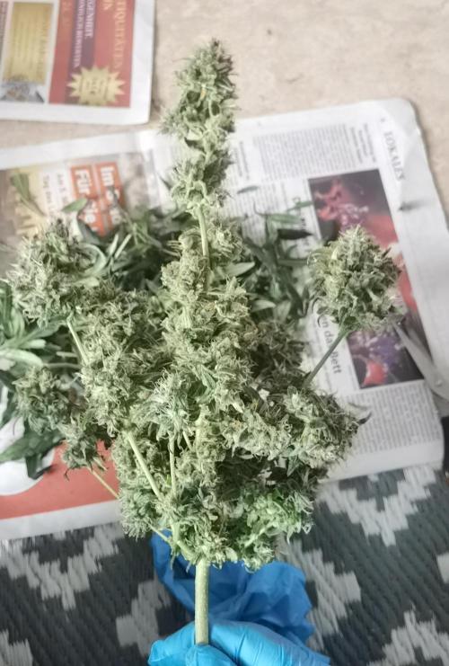 All starts at some Point!!. Week 14