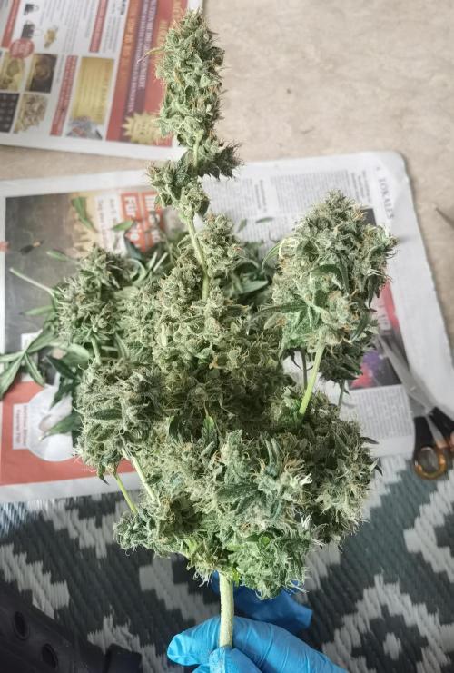 All starts at some Point!!. Week 14