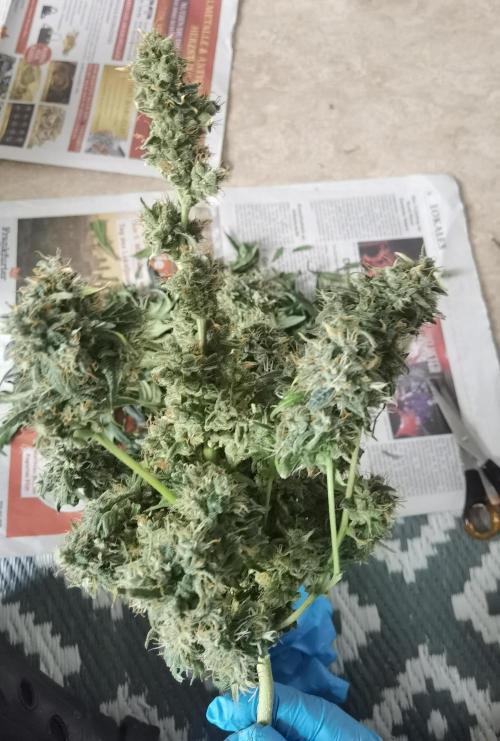 All starts at some Point!!. Week 14