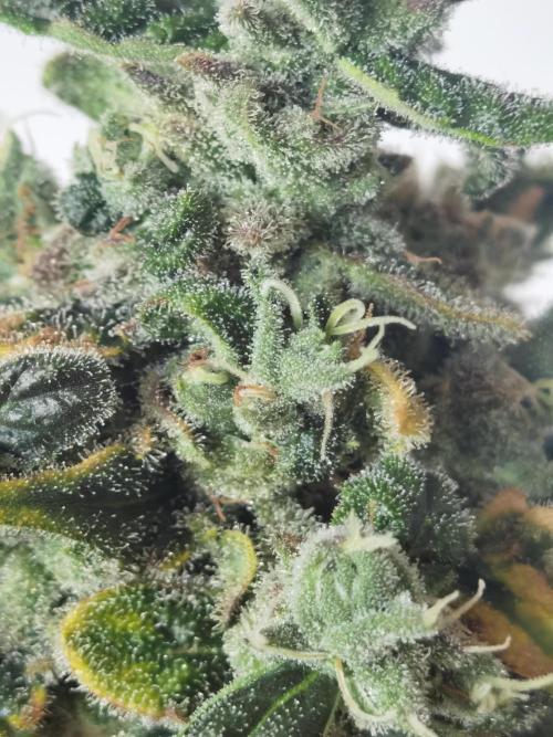 All starts at some Point!!. Week 14