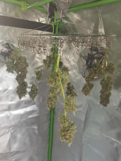 All starts at some Point!!. Week 14