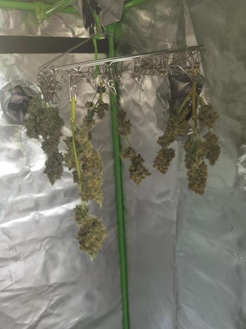 All starts at some Point!!. Week 14