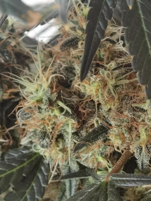 All starts at some Point!!. Week 14