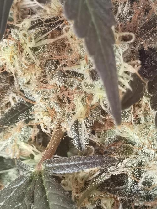 All starts at some Point!!. Week 14