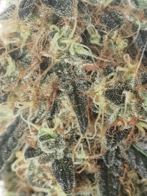 All starts at some Point!!. Week 14
