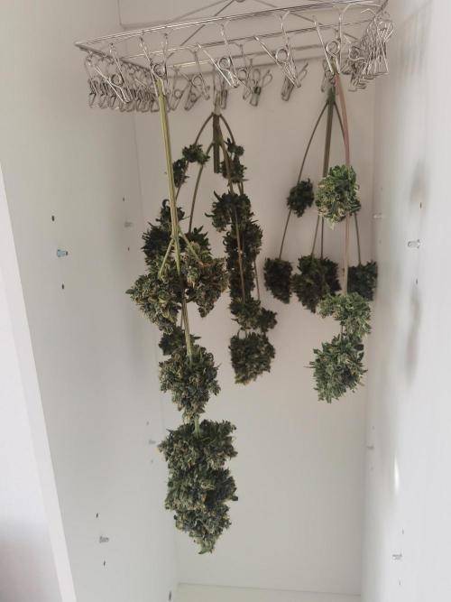 All starts at some Point!!. Week 14