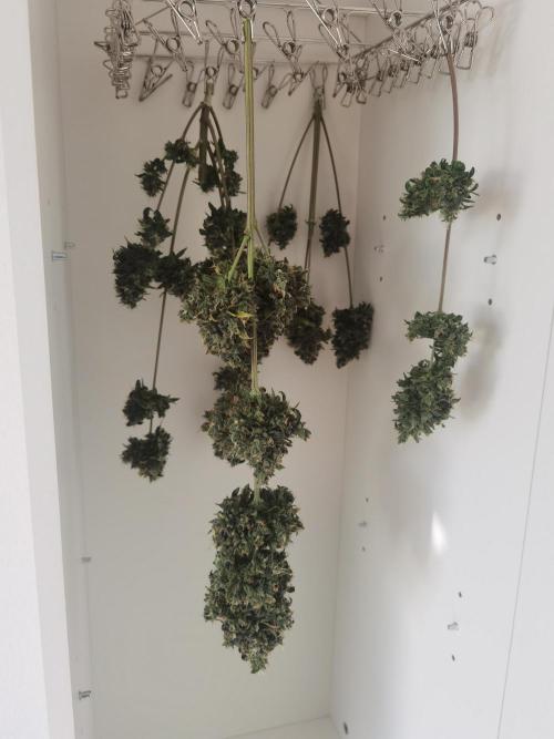 All starts at some Point!!. Week 14