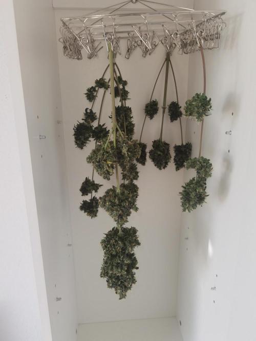 All starts at some Point!!. Week 14