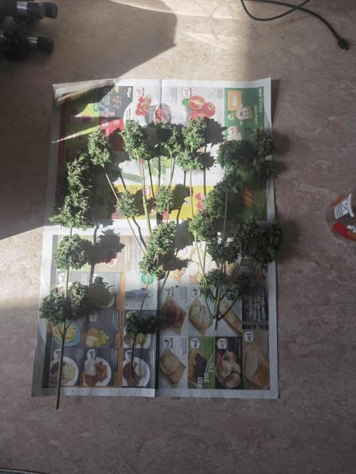All starts at some Point!!. Week 14