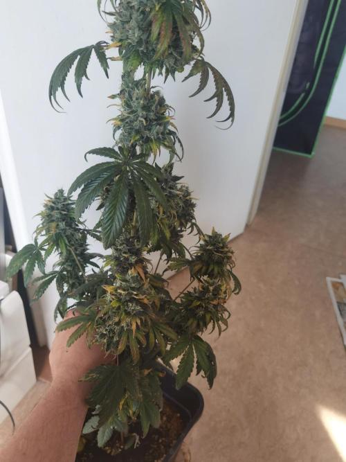 All starts at some Point!!. Week 14