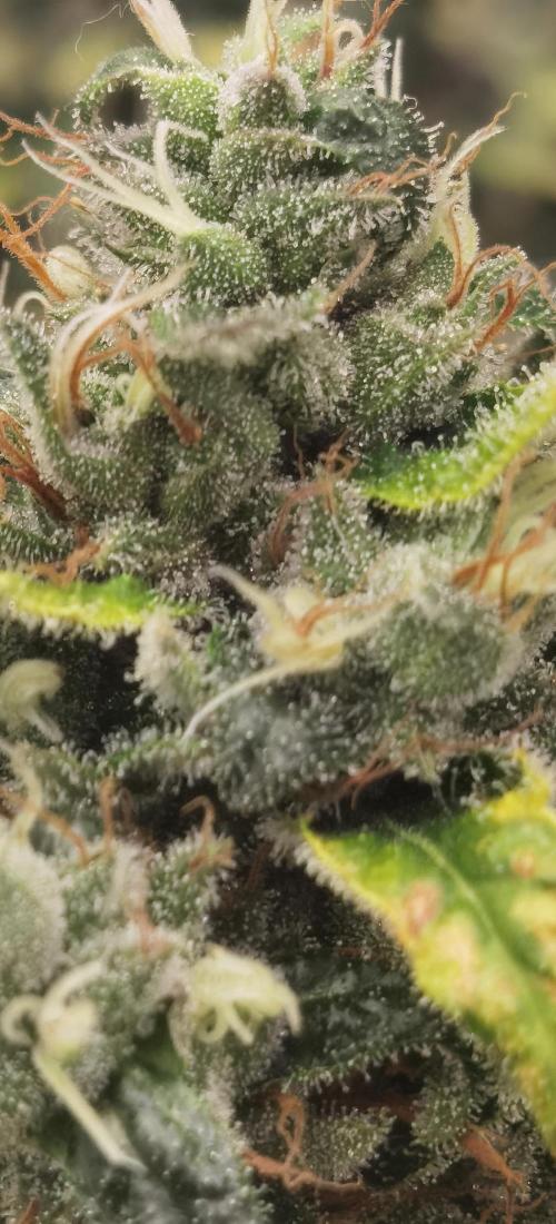 All starts at some Point!!. Week 14