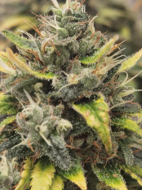 All starts at some Point!!. Week 14
