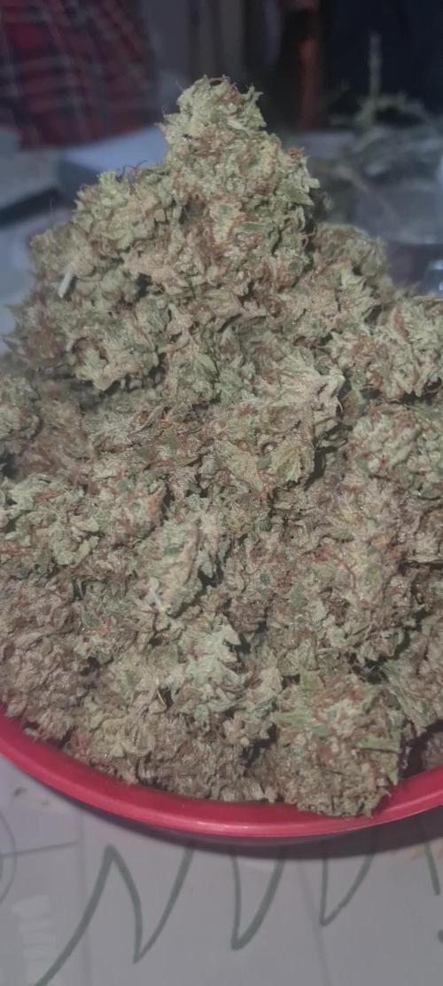 Lemon cherry cookies fast bud