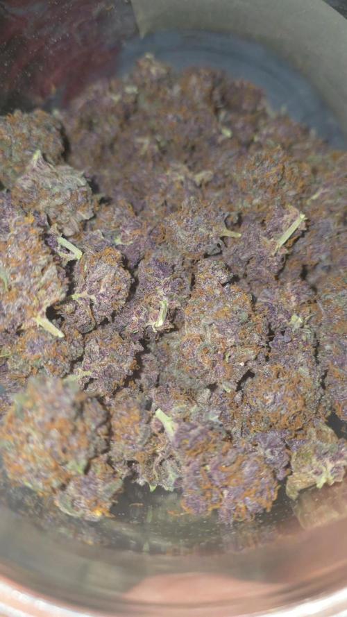 Gorilla punch fast bud. Week 12