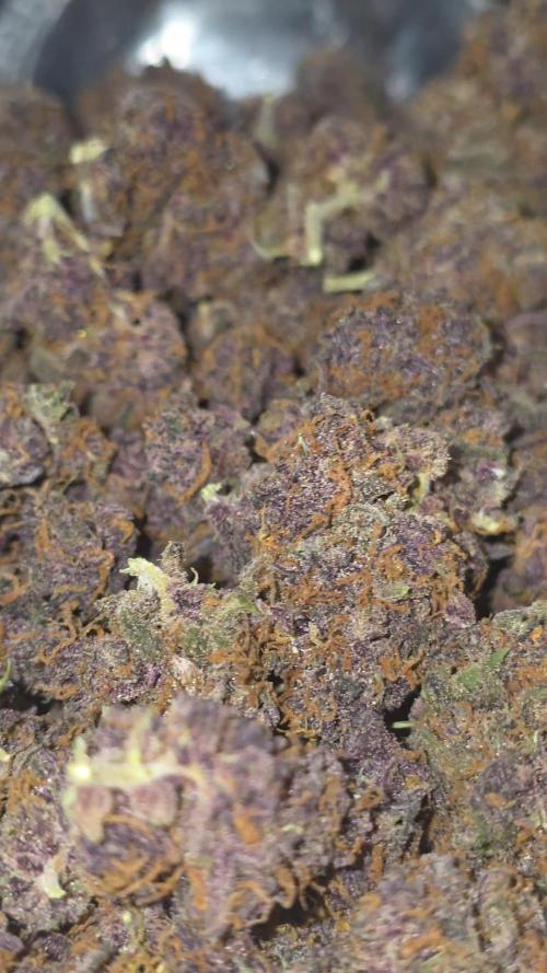 Gorilla punch fast bud. Week 12