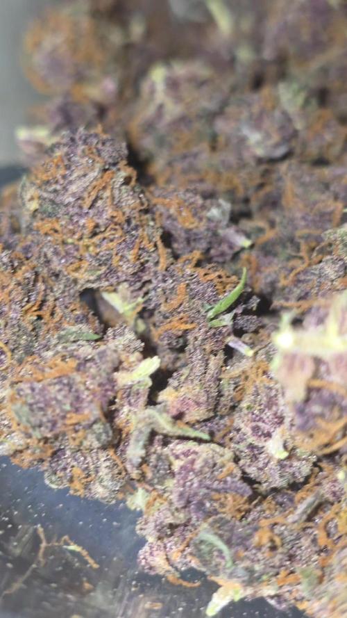 Gorilla punch fast bud. Week 12