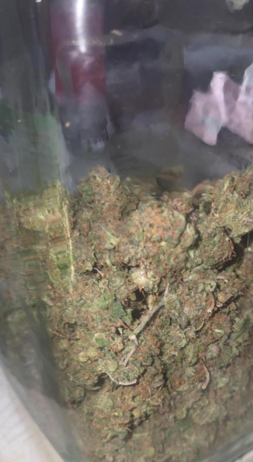Gorilla punch fast bud