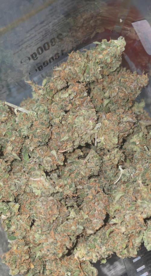 Gorilla punch fast bud. Week 13