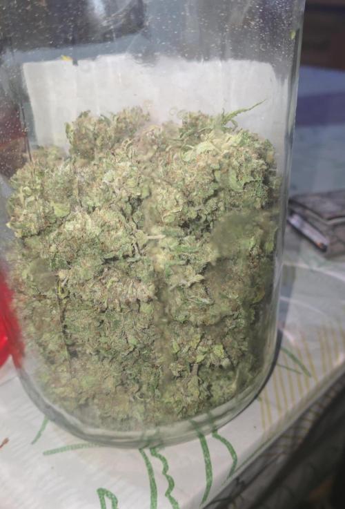 Gorilla punch fast bud
