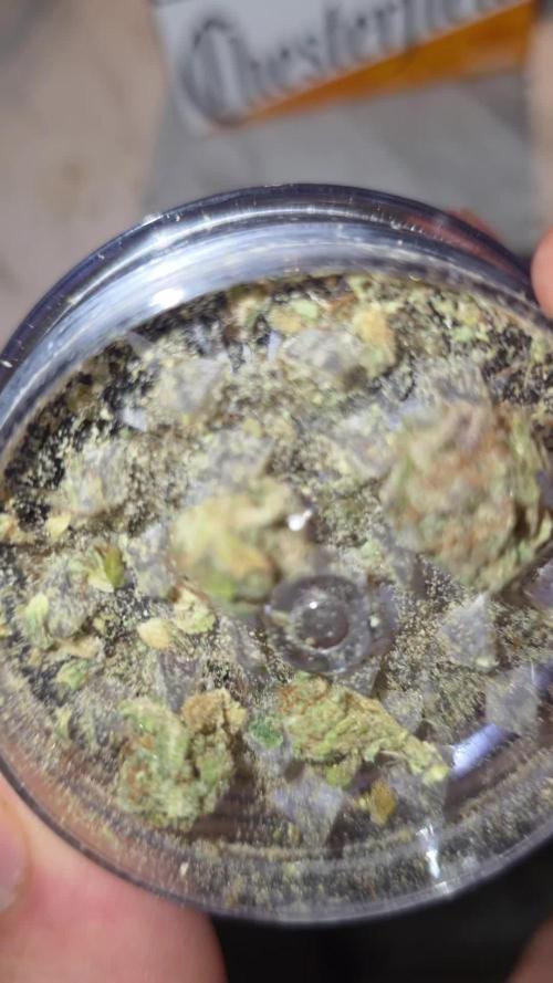 Papaya cookies fast bud