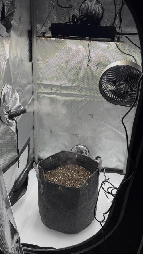 First Run. Week 0