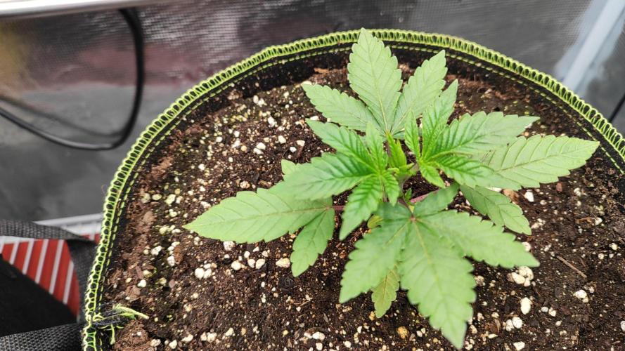 Erntedankfest 1. Week 3