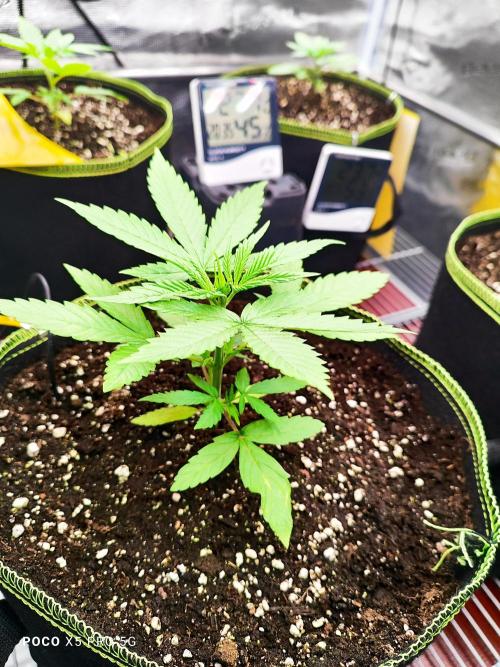Erntedankfest 1. Week 3