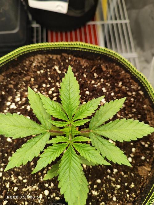 Erntedankfest 1. Week 3