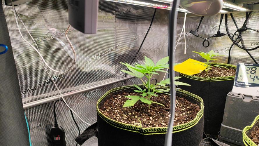 Erntedankfest 1. Week 3