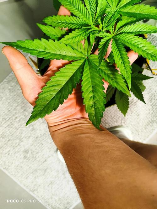 Erntedankfest 1. Week 4