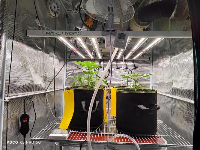Erntedankfest 1. Week 4