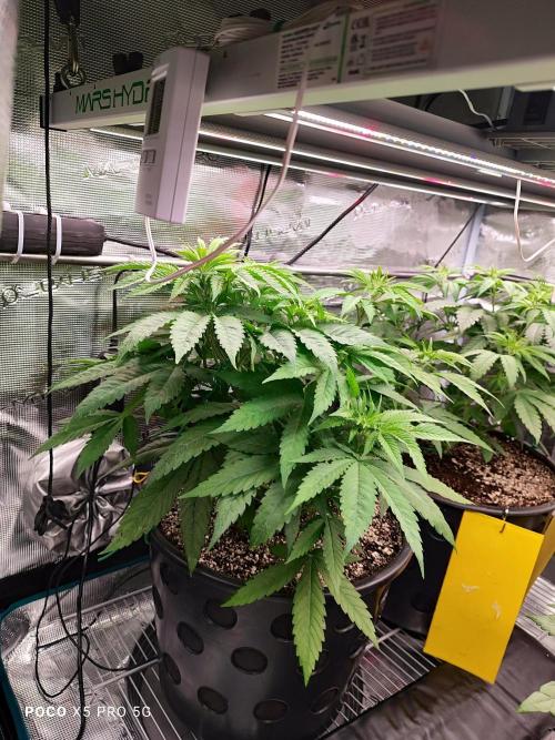 Erntedankfest 1. Week 6