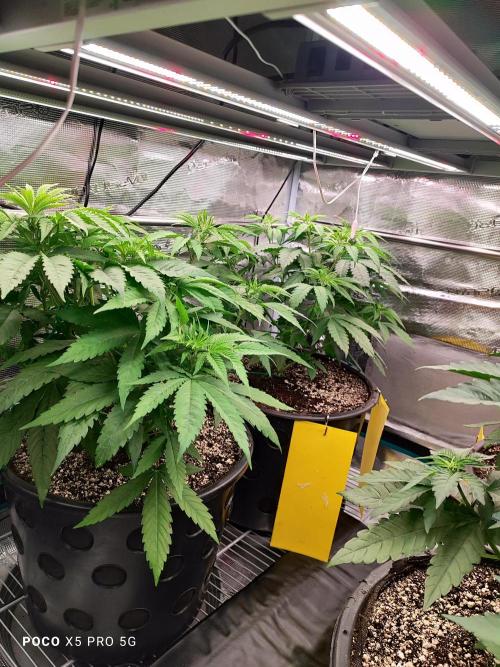 Erntedankfest 1. Week 6
