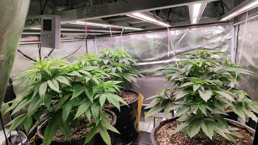 Erntedankfest 1. Week 6