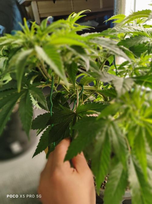 Erntedankfest 1. Week 6